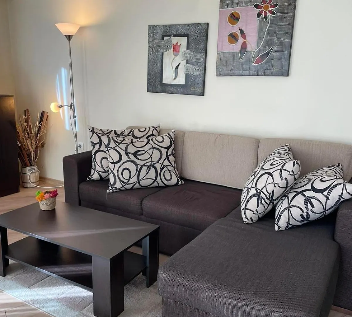 Apartament Ivanovi A119 contacts